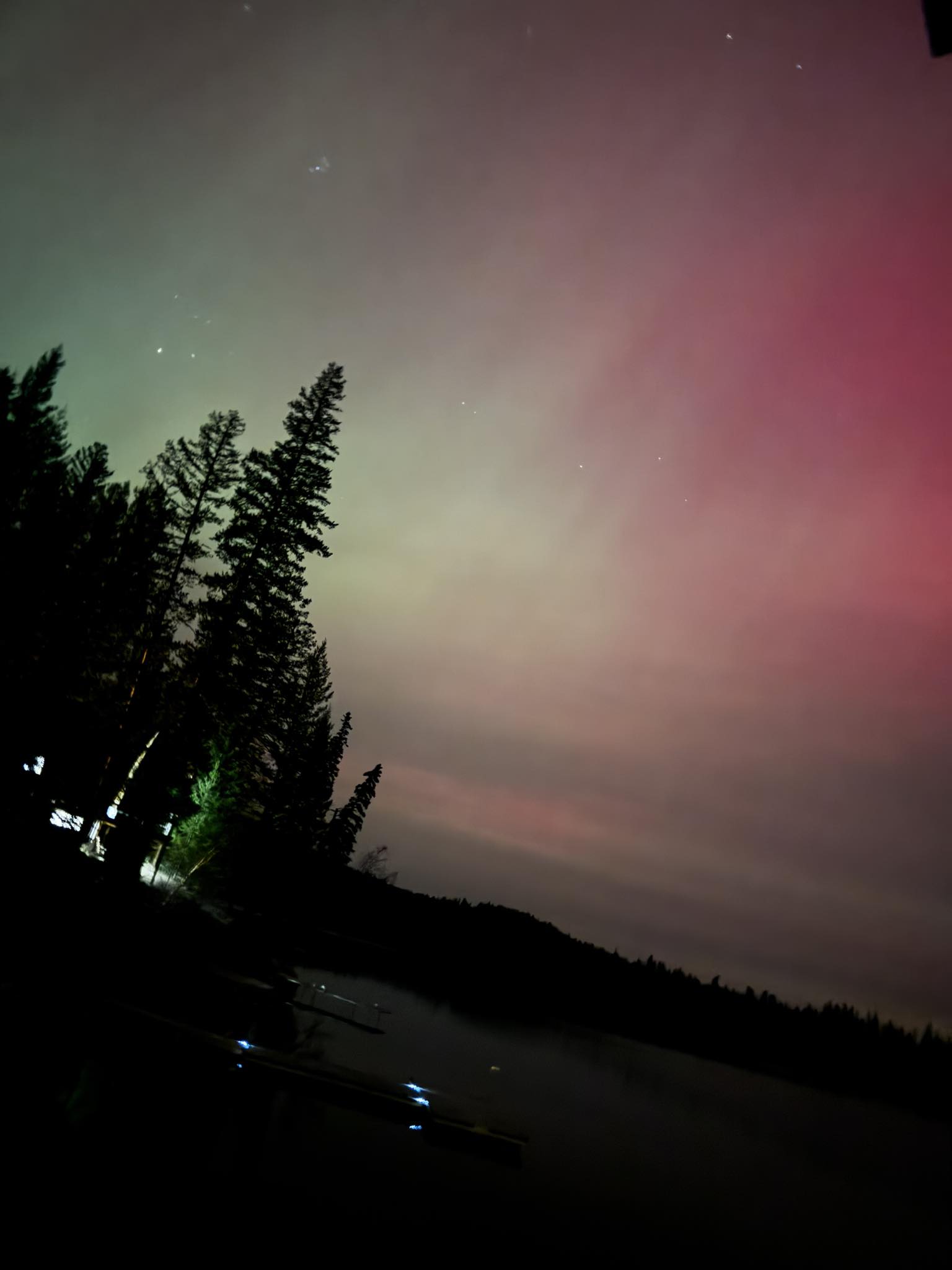 Aurora borealis over the pines at Sulphurous Lake